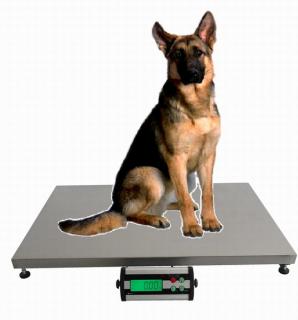 Veterinární váha TCS-D do 200kg/50g, 600x900mm